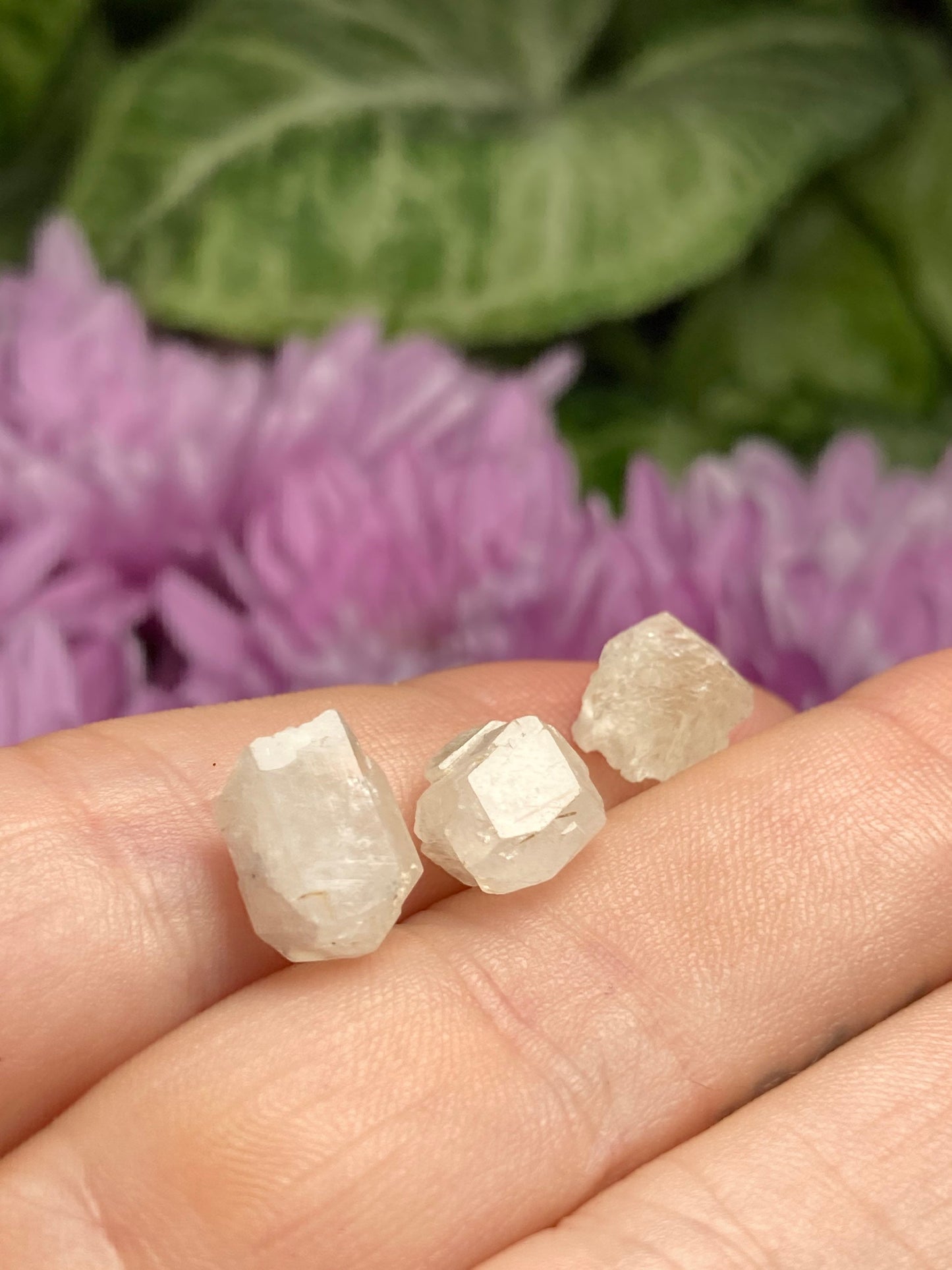 Phenacite Pendant