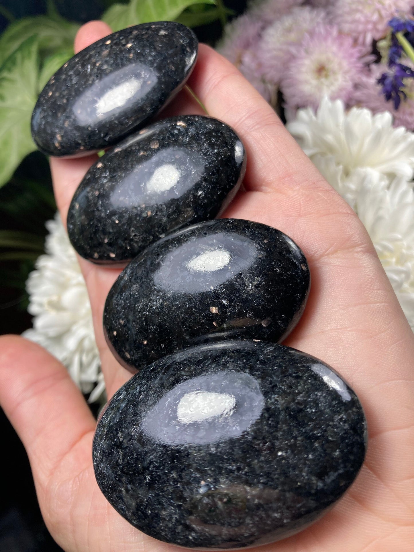 Nuummite Crystal