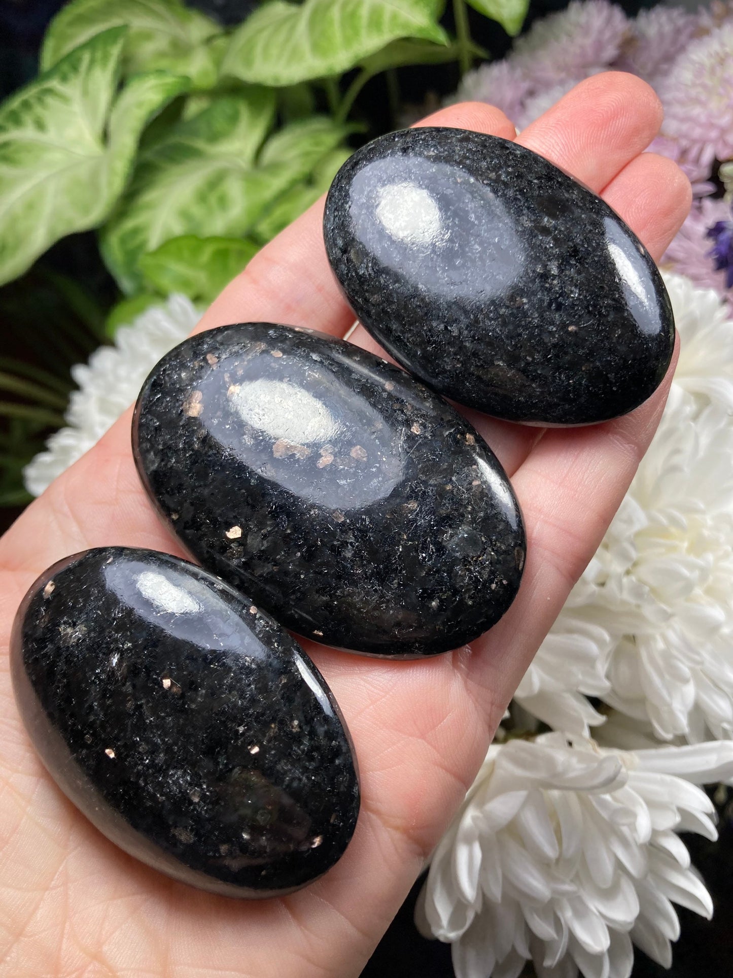 Nuummite Crystal