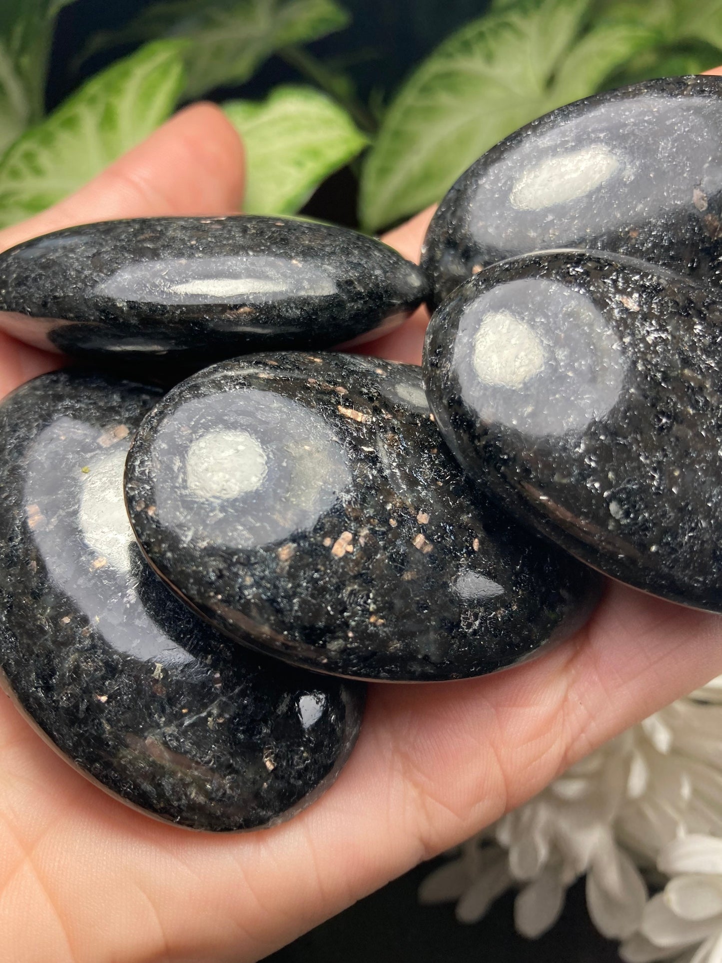 Nuummite Crystal