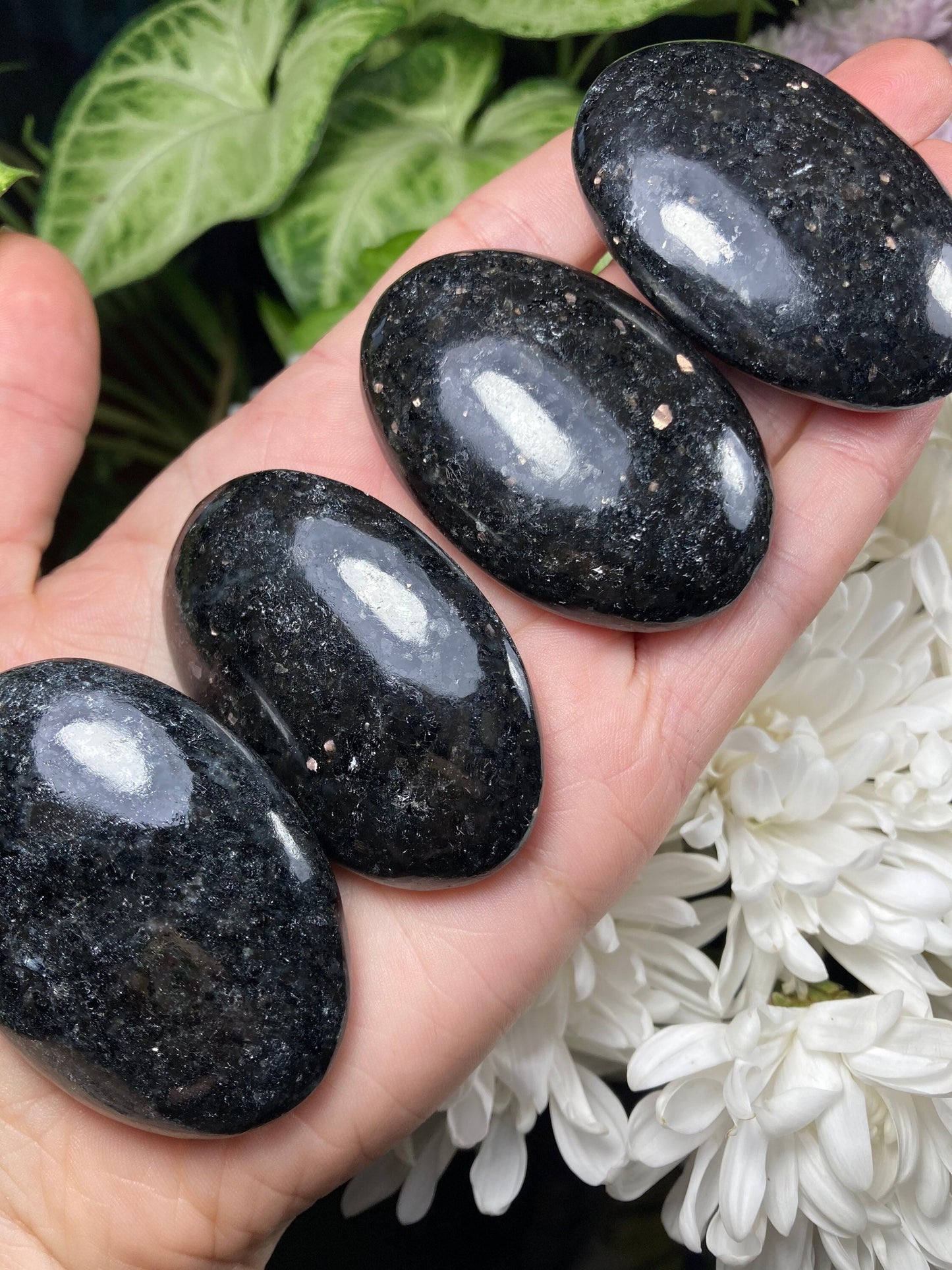Nuummite Crystal