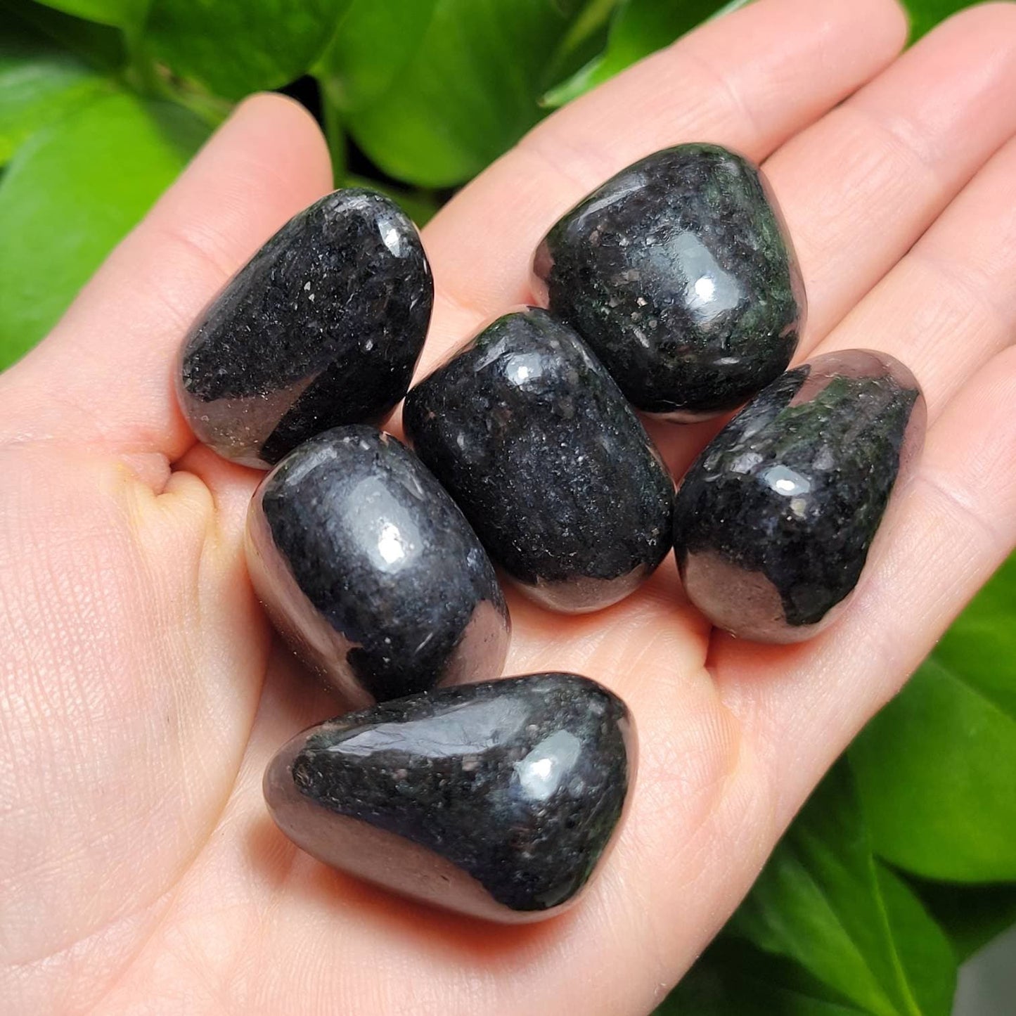 Nuummite Crystal