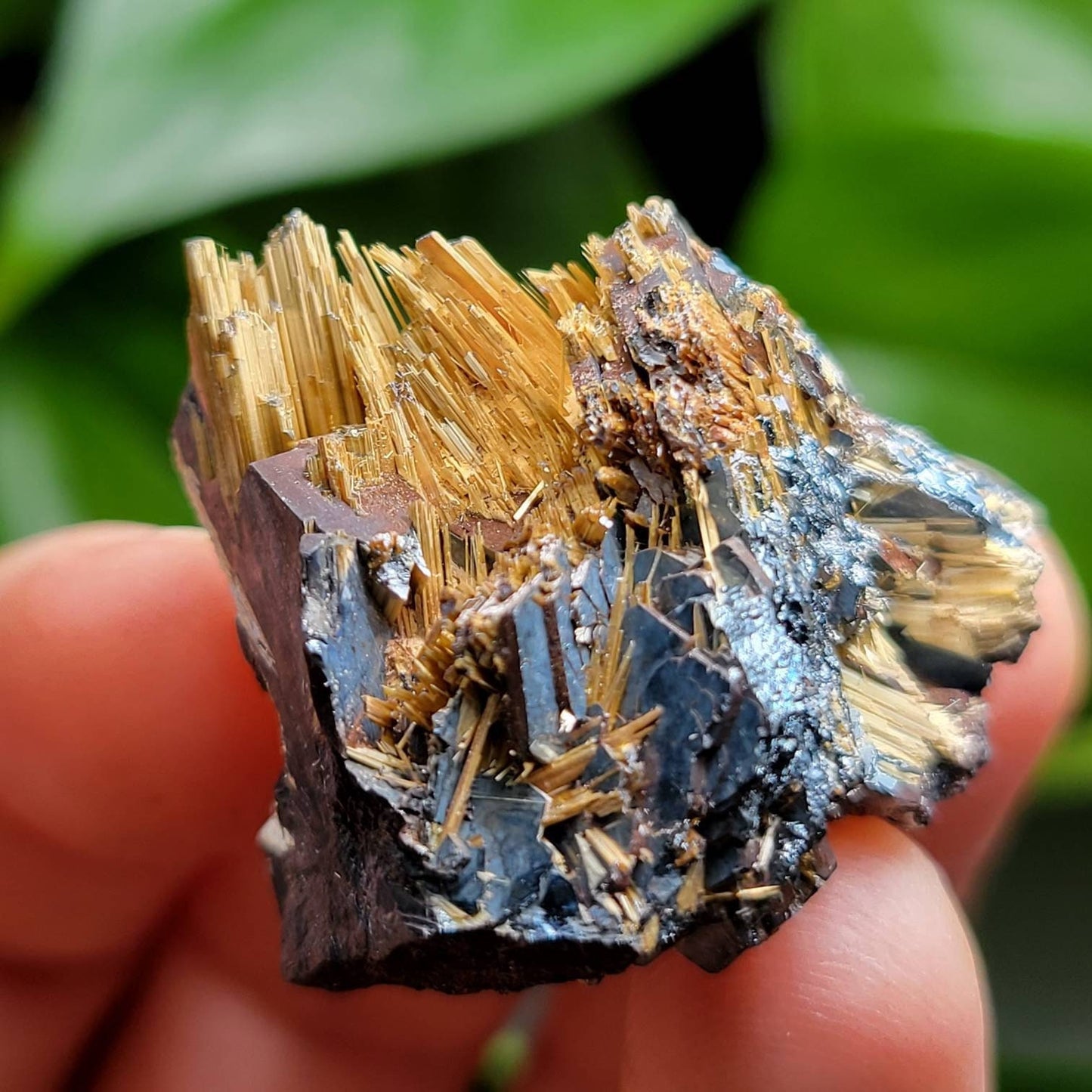 Rutile Star