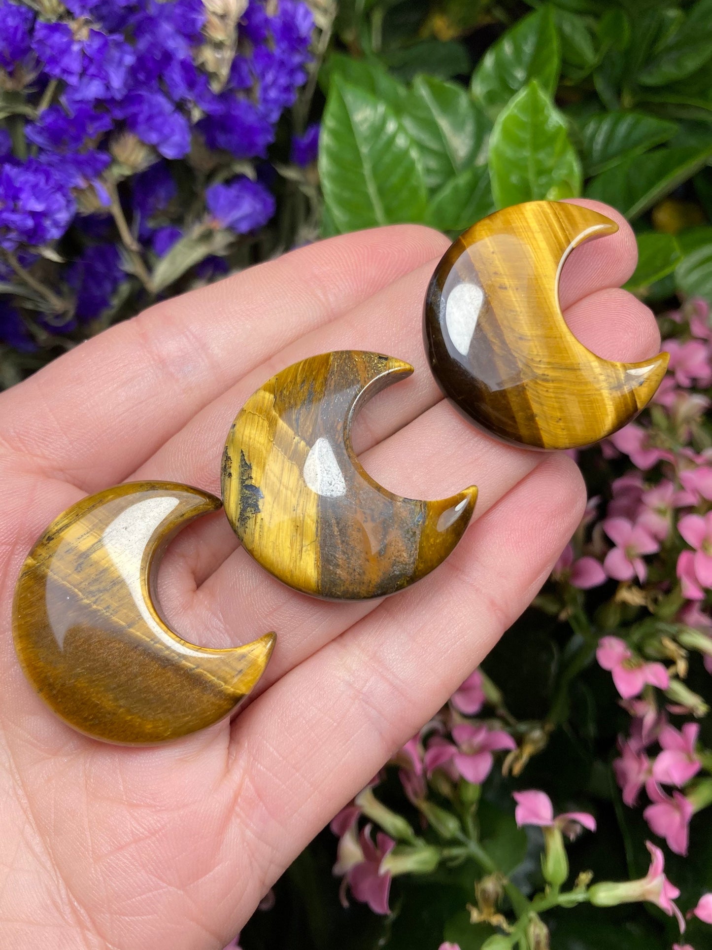 Tigers Eye Moon
