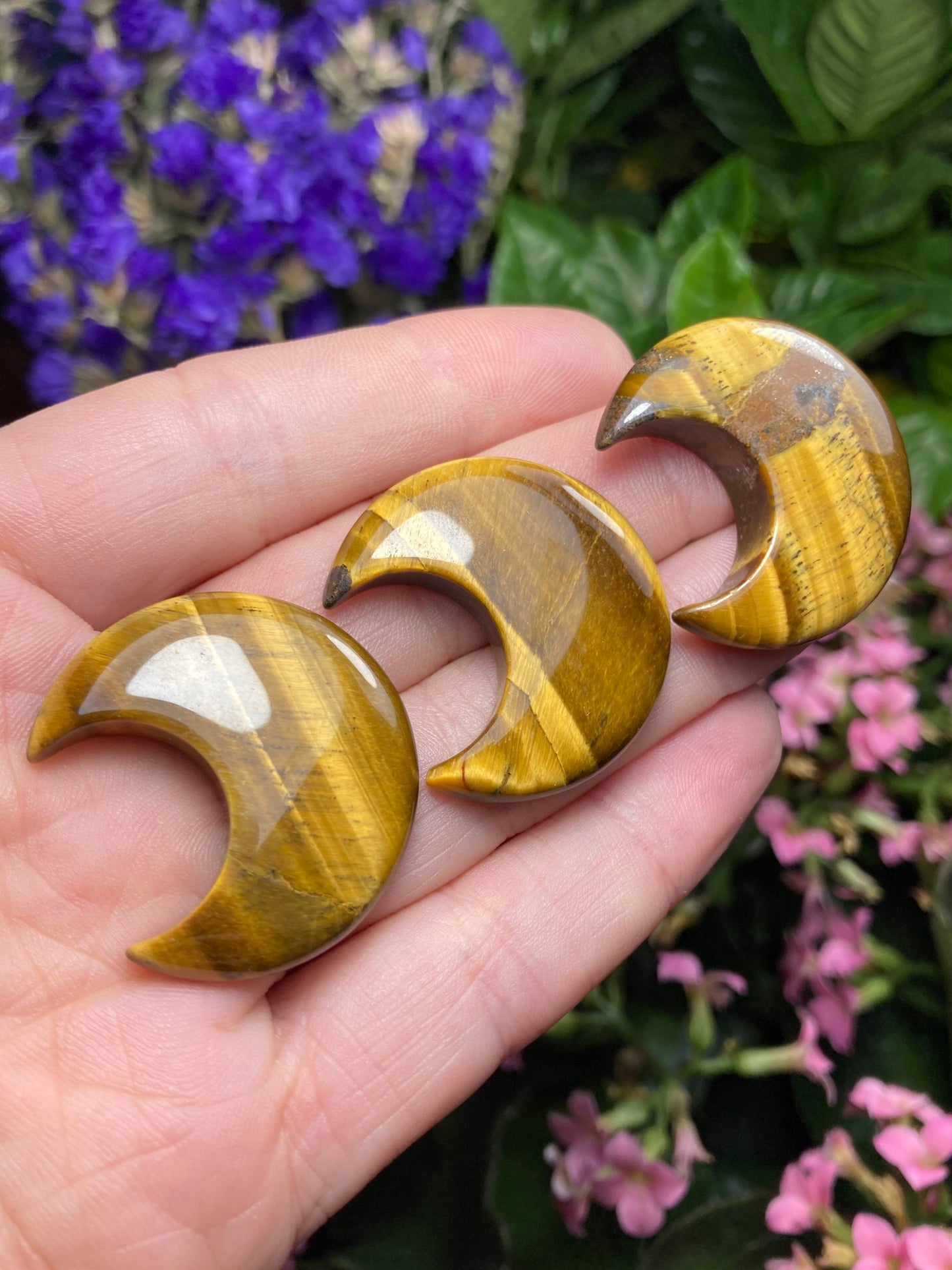 Tigers Eye Moon