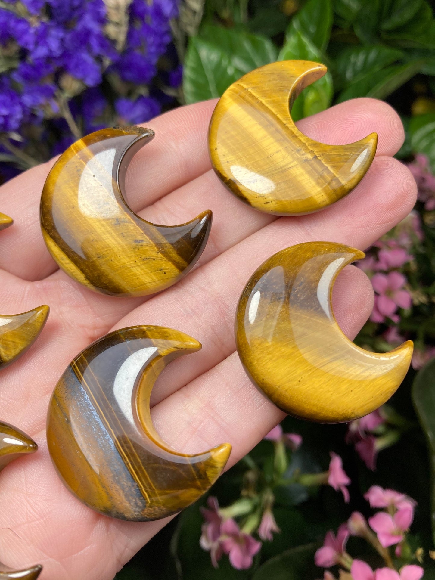 Tigers Eye Moon