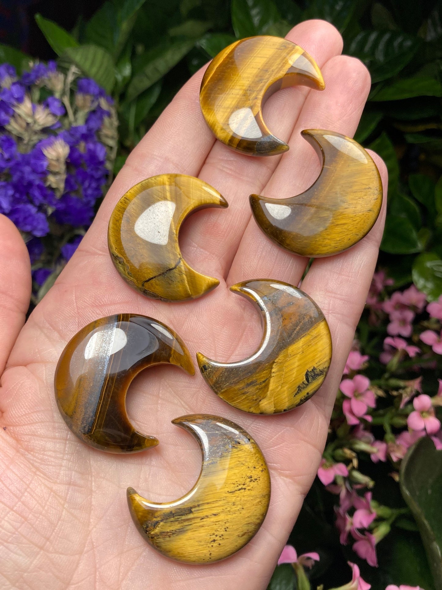 Tigers Eye Moon