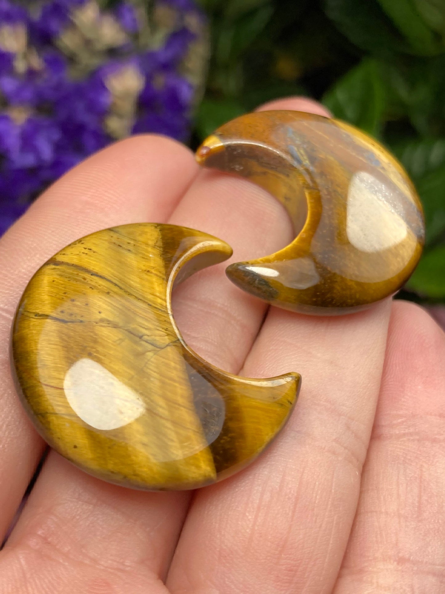 Tigers Eye Moon
