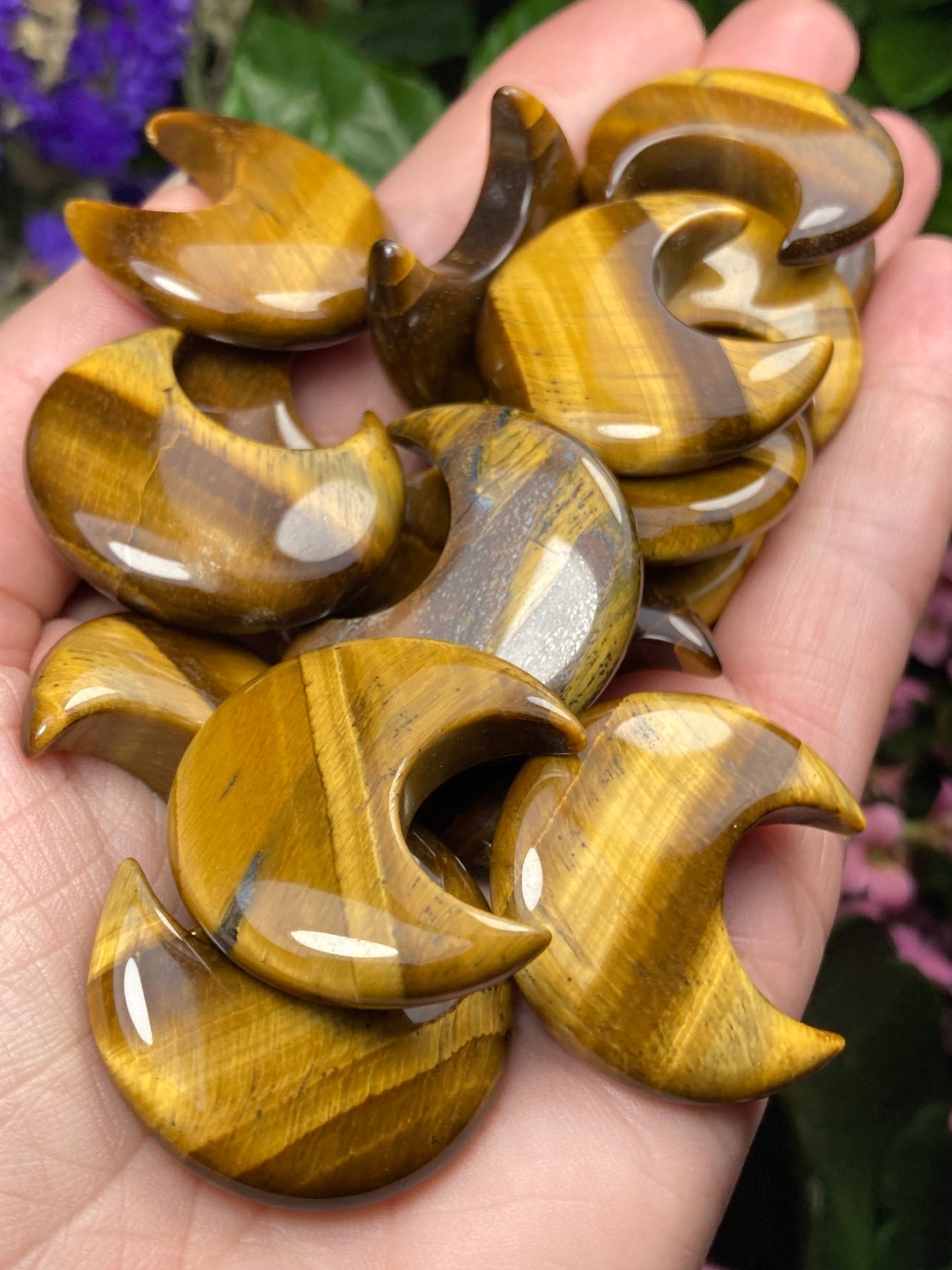 Tigers Eye Moon