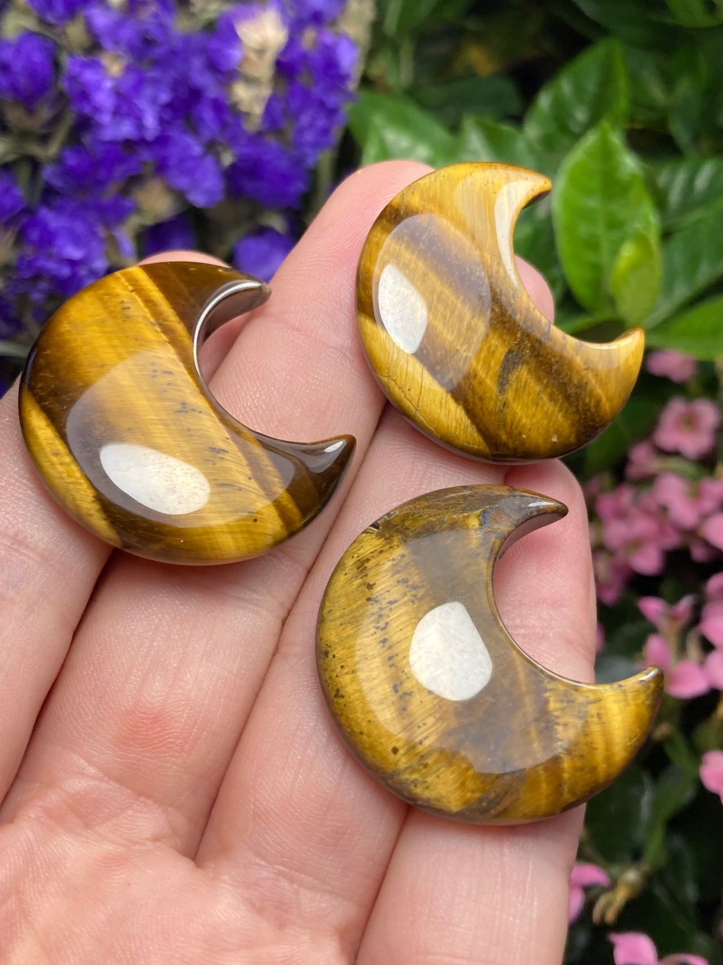 Tigers Eye Moon