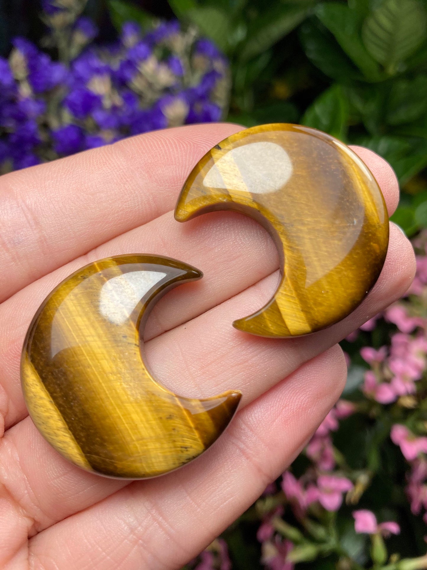 Tigers Eye Moon