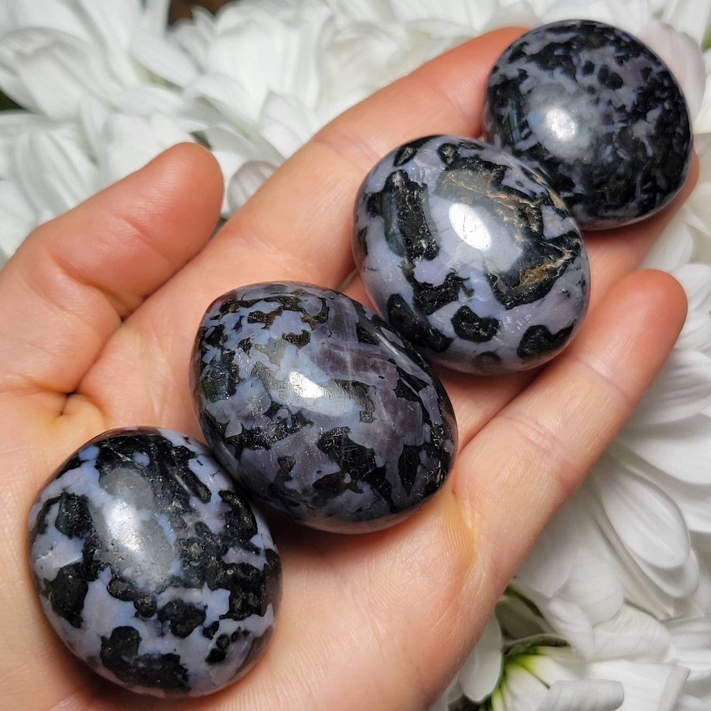 Indigo Gabbro Palm Stone