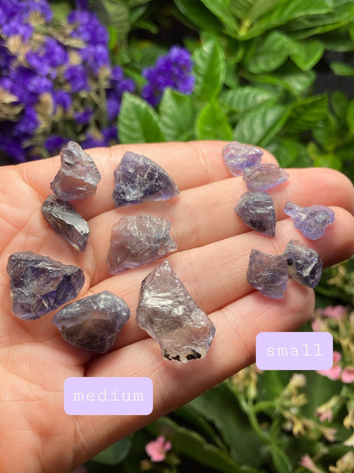 Iolite Crystal