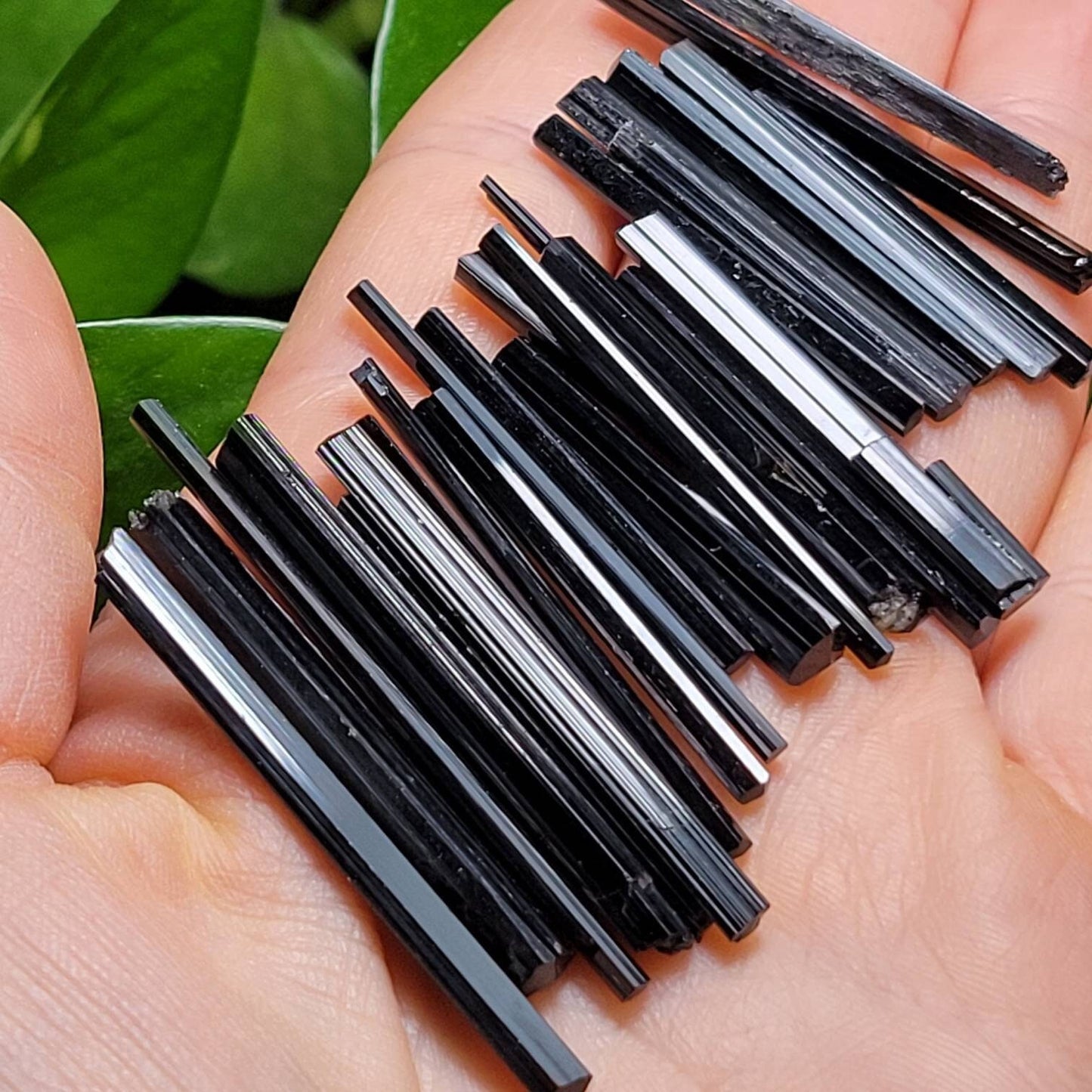 Black Tourmaline