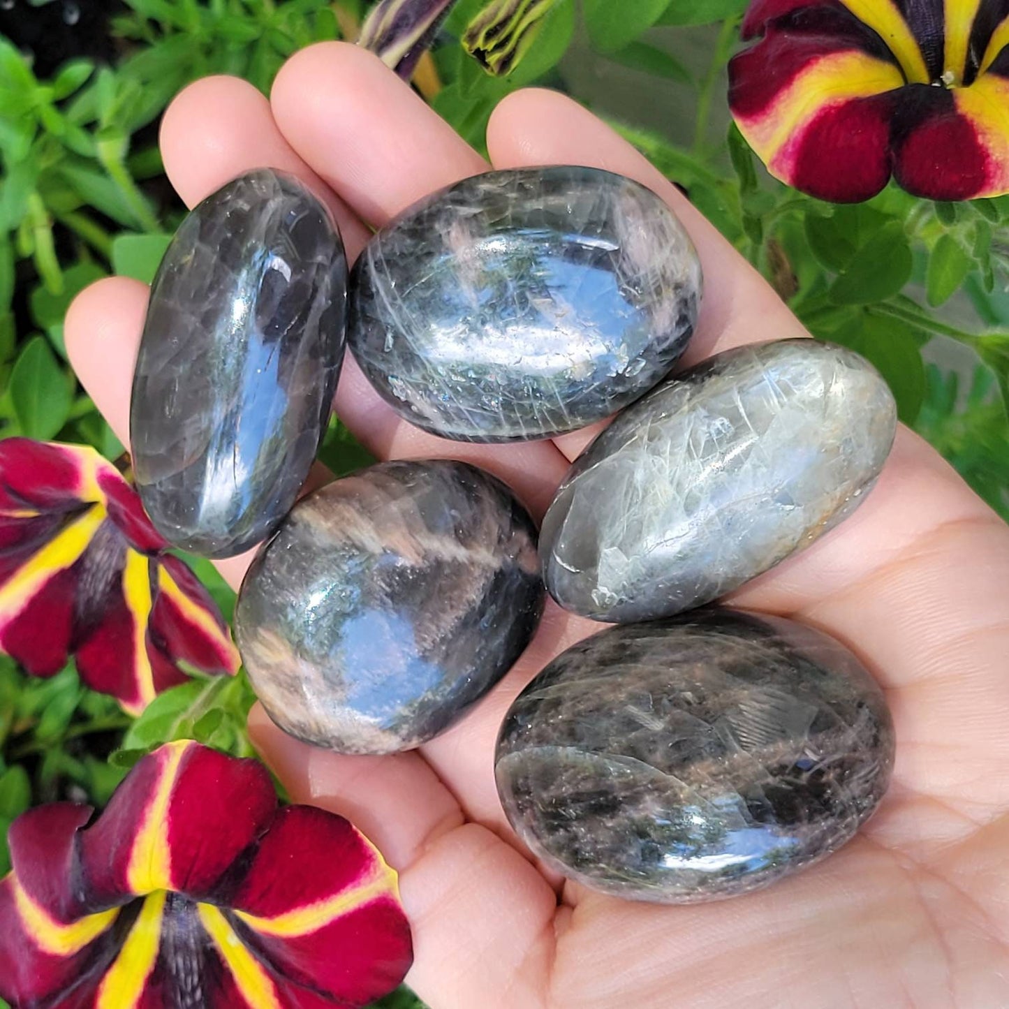 Black Moonstone