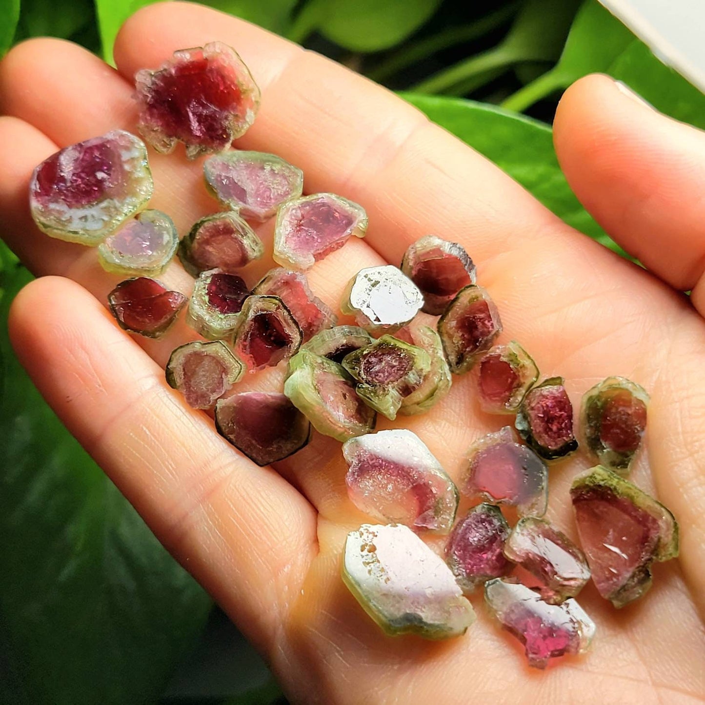 Watermelon Tourmaline Pendant
