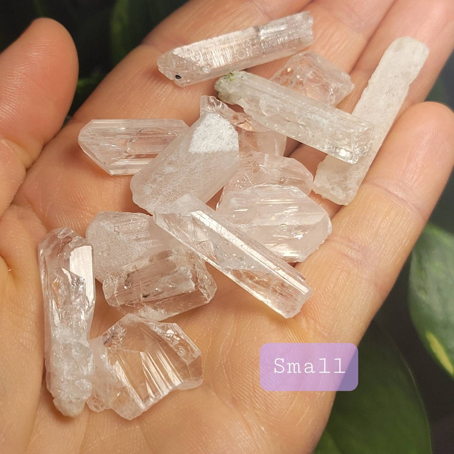 Danburite Crystal