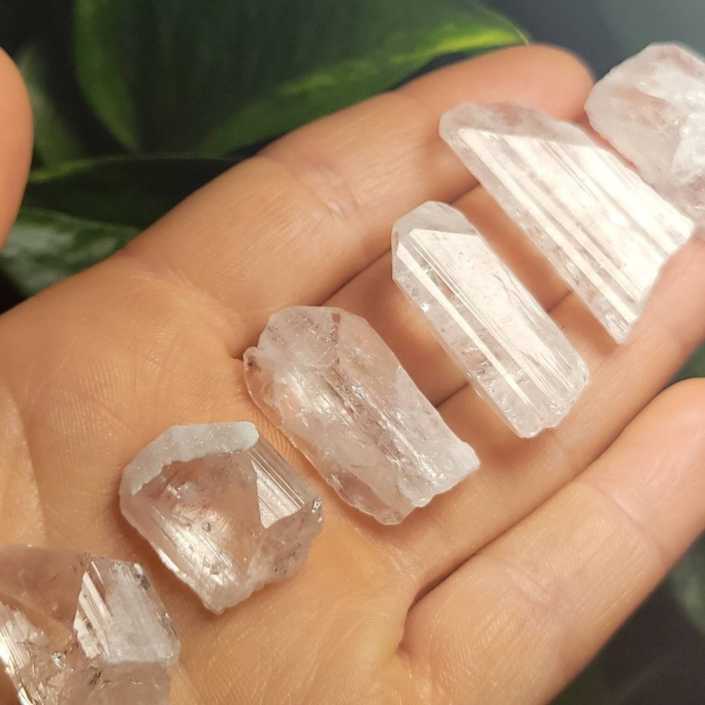 Danburite Crystal