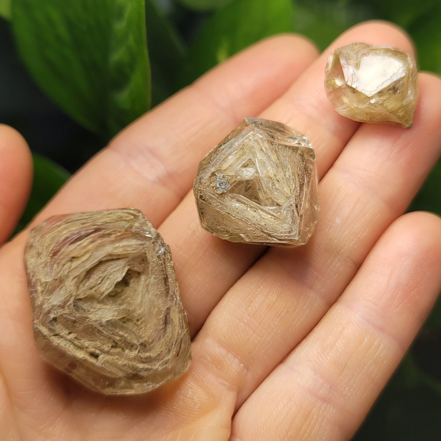 Enhydro Petroleum Quartz
