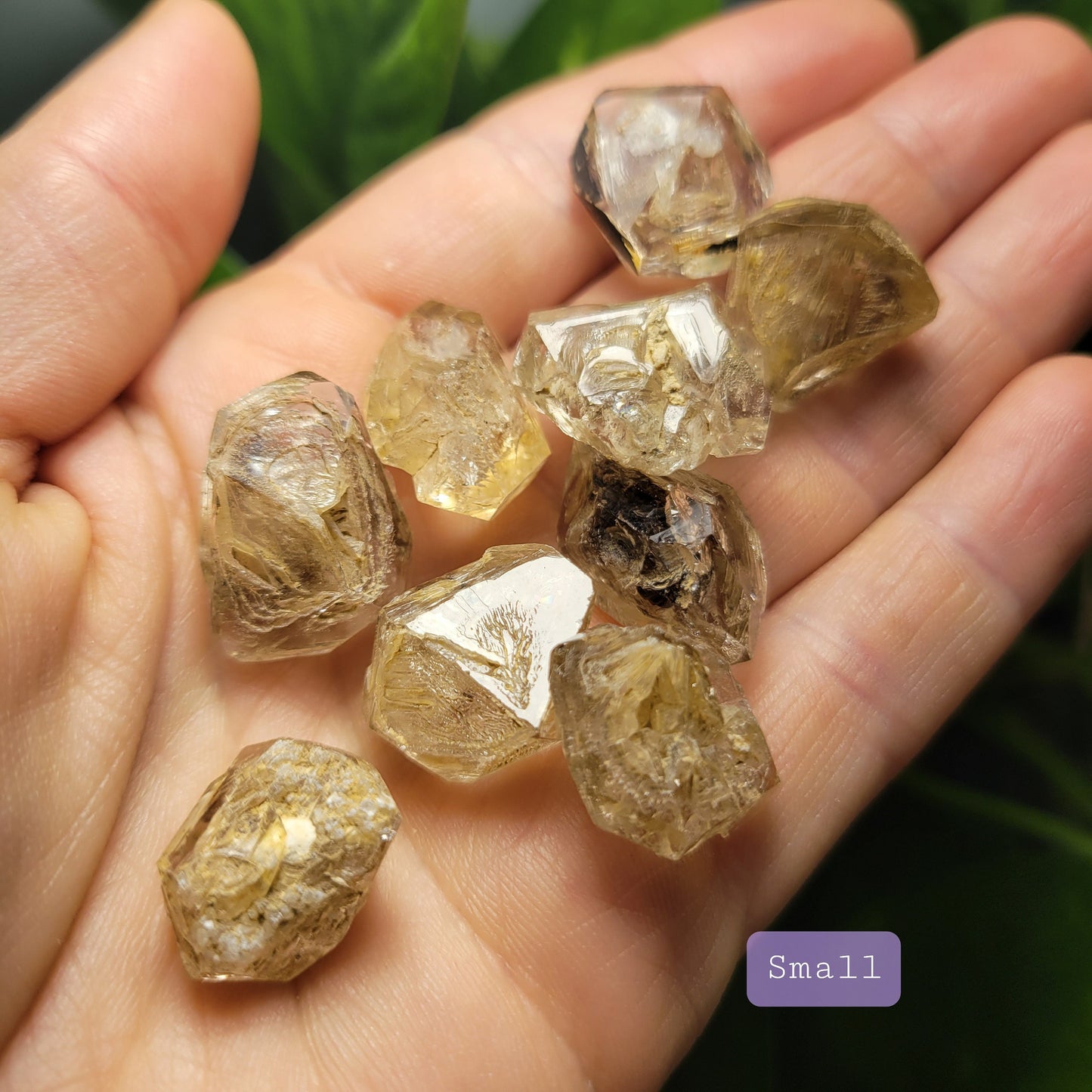 Enhydro Petroleum Quartz