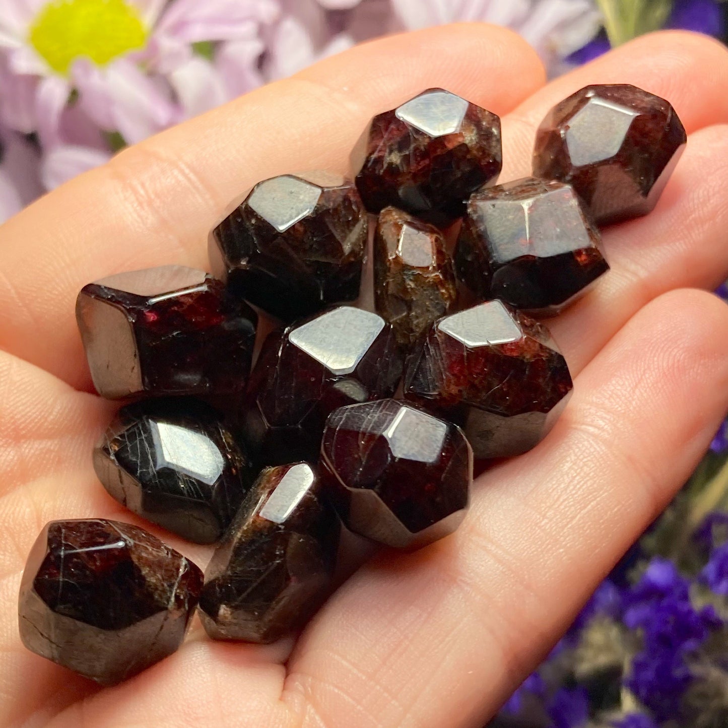 Polished Garnet