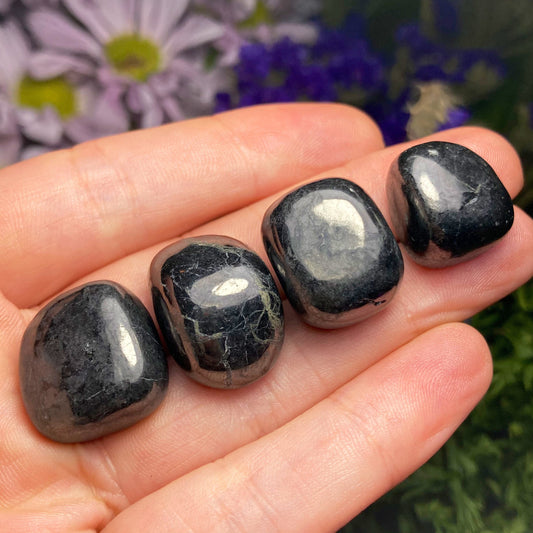 Shungite Crystal