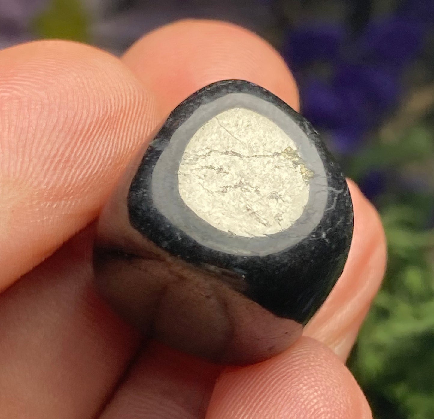 Shungite Crystal