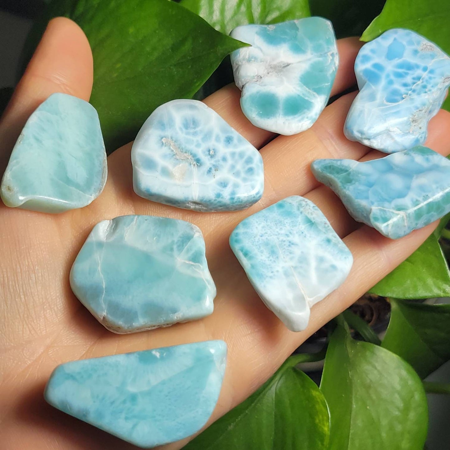 Larimar Specimen