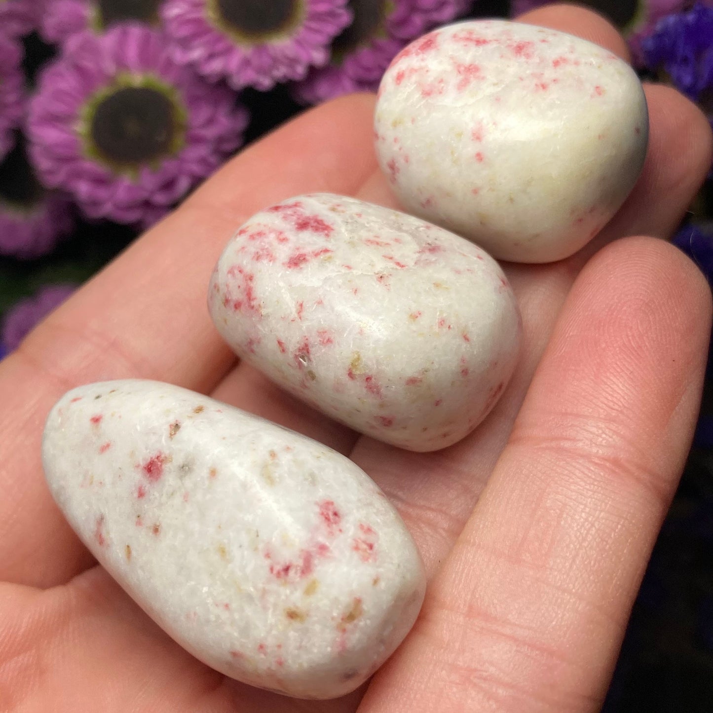 Pink Epidote in White Scapolite