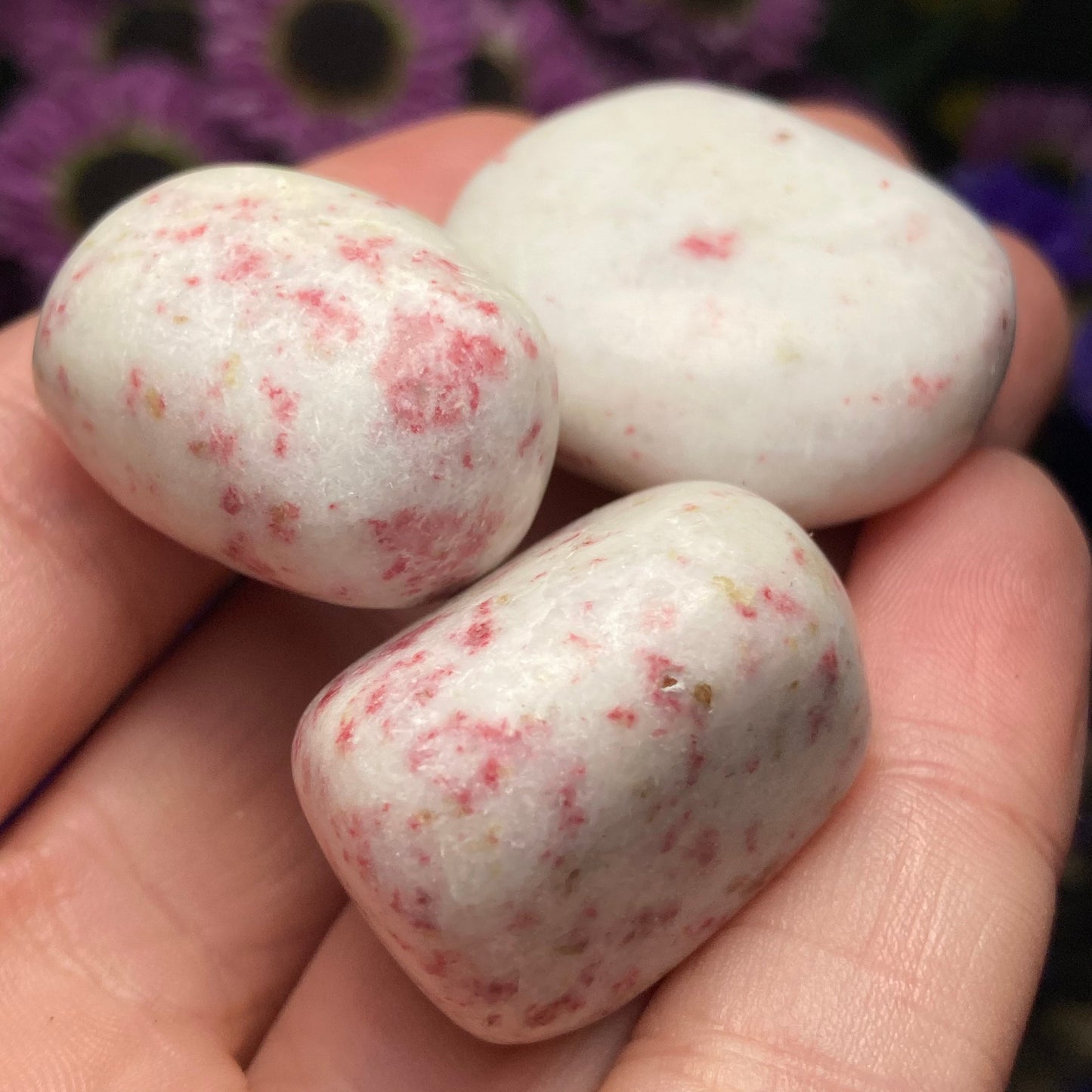 Pink Epidote in White Scapolite