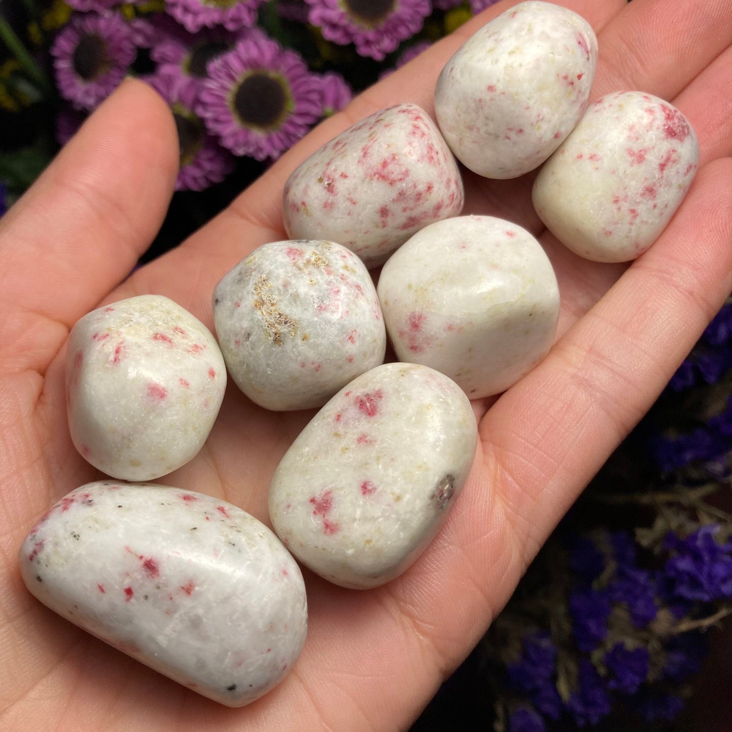 Pink Epidote in White Scapolite