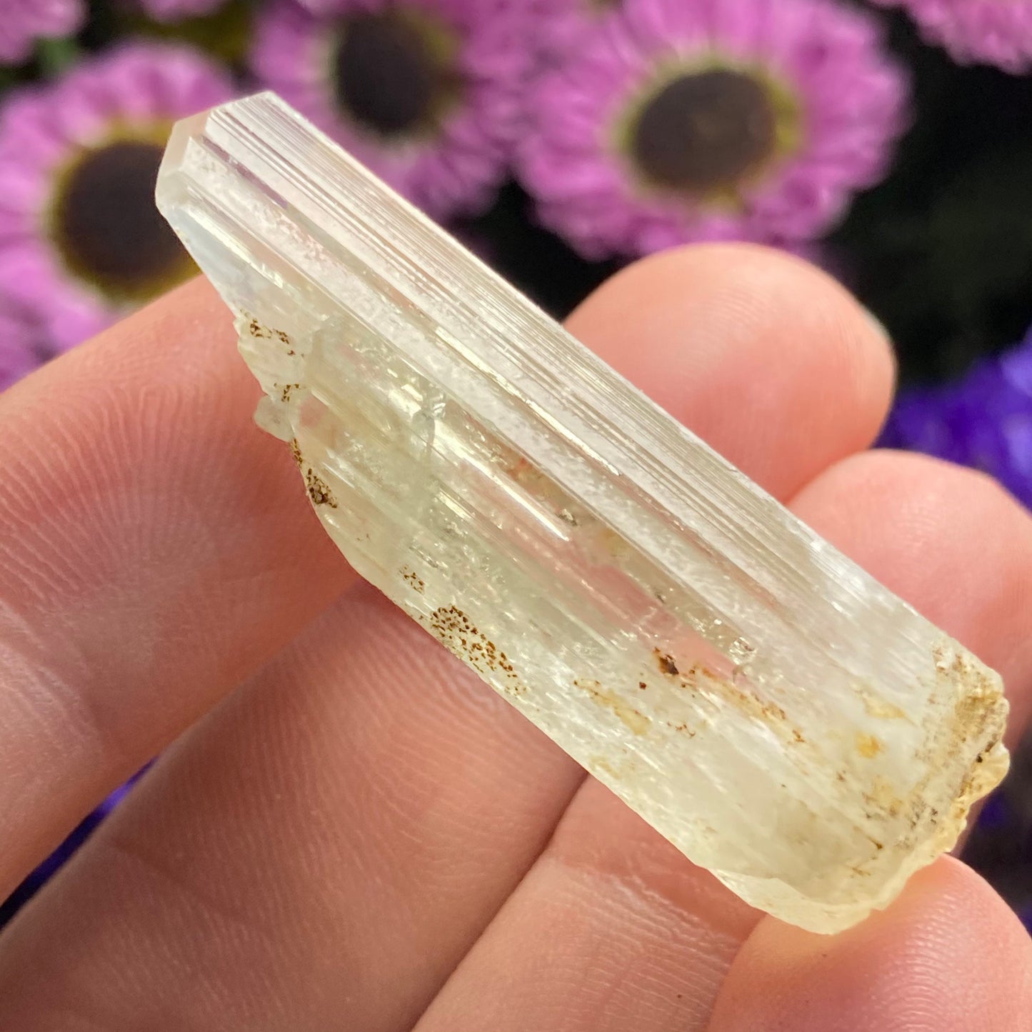 Yellow Kunzite Crystal