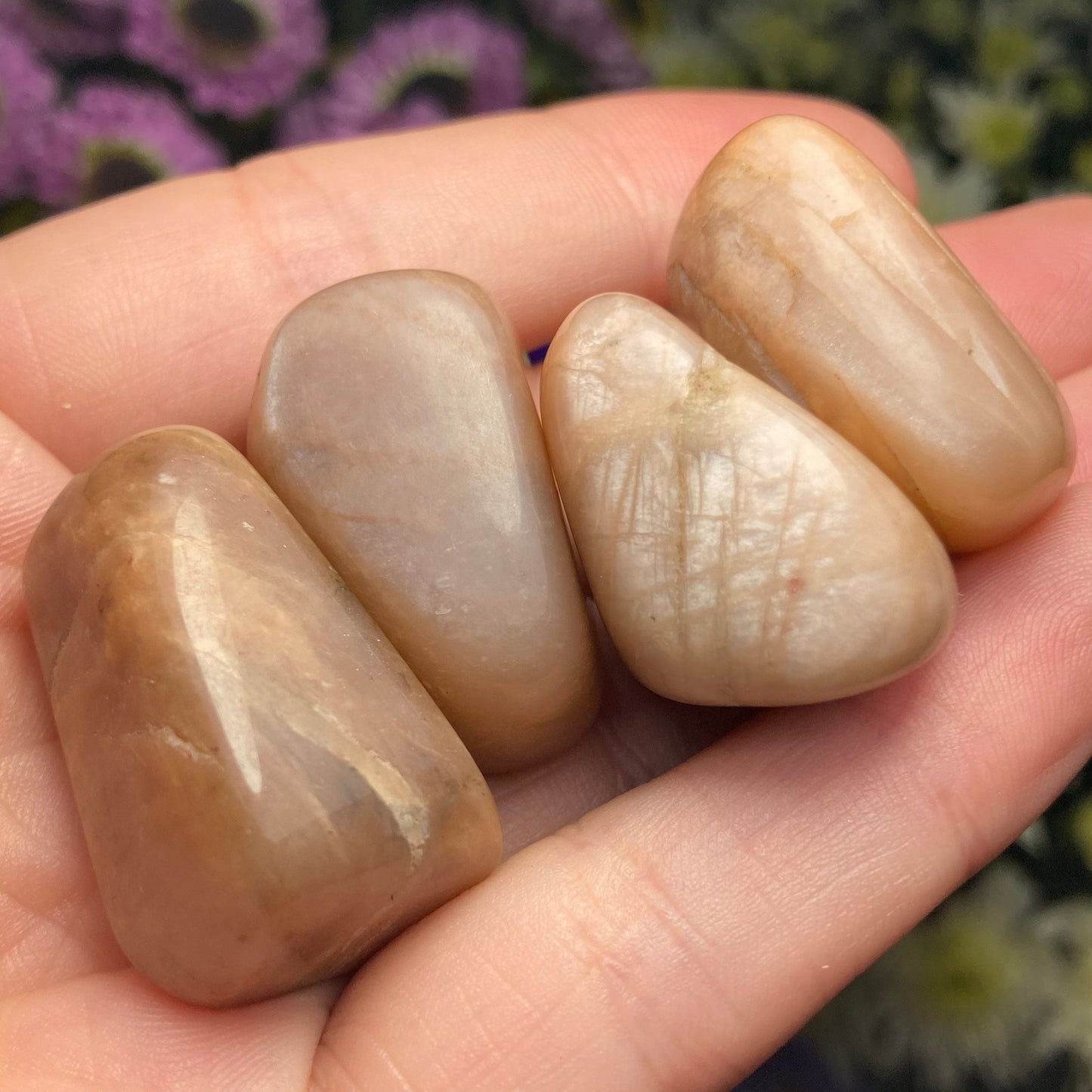 Chocolate Moonstone Crystal