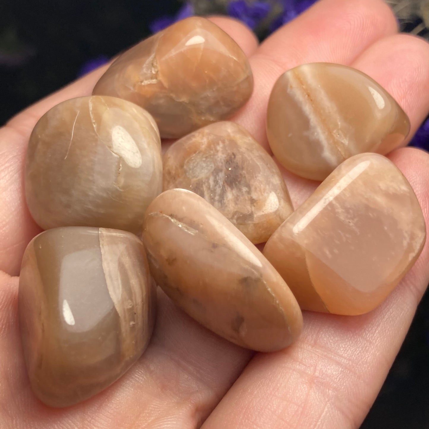 Chocolate Moonstone Crystal