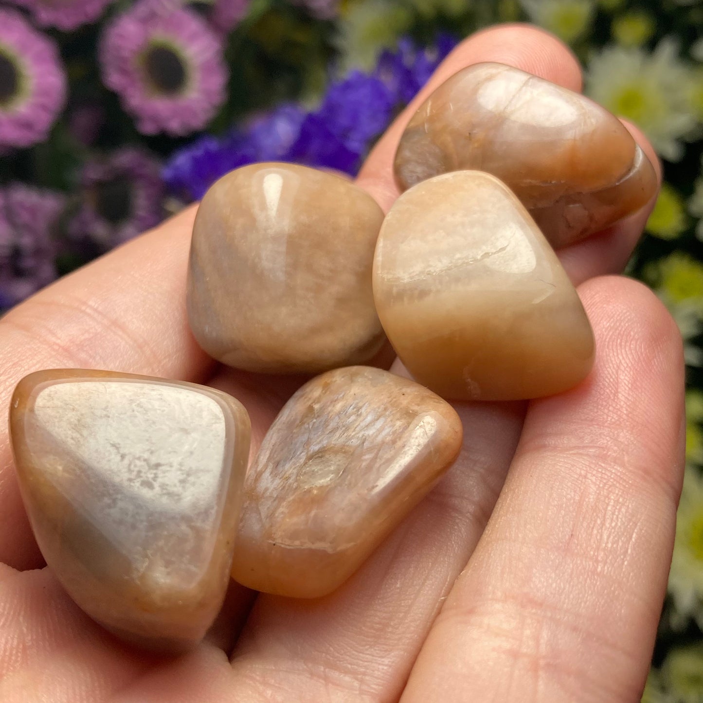 Chocolate Moonstone Crystal