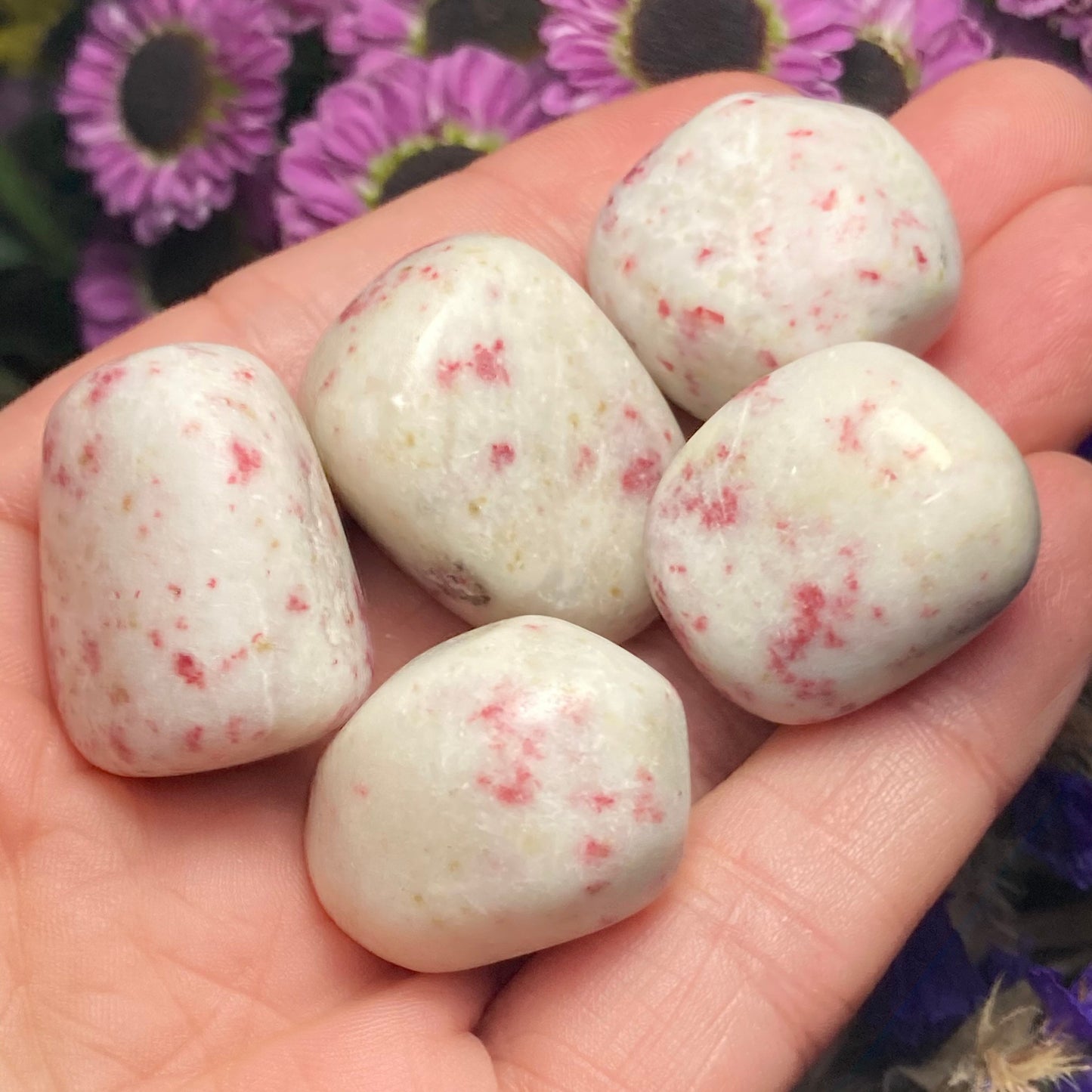 Pink Epidote in White Scapolite