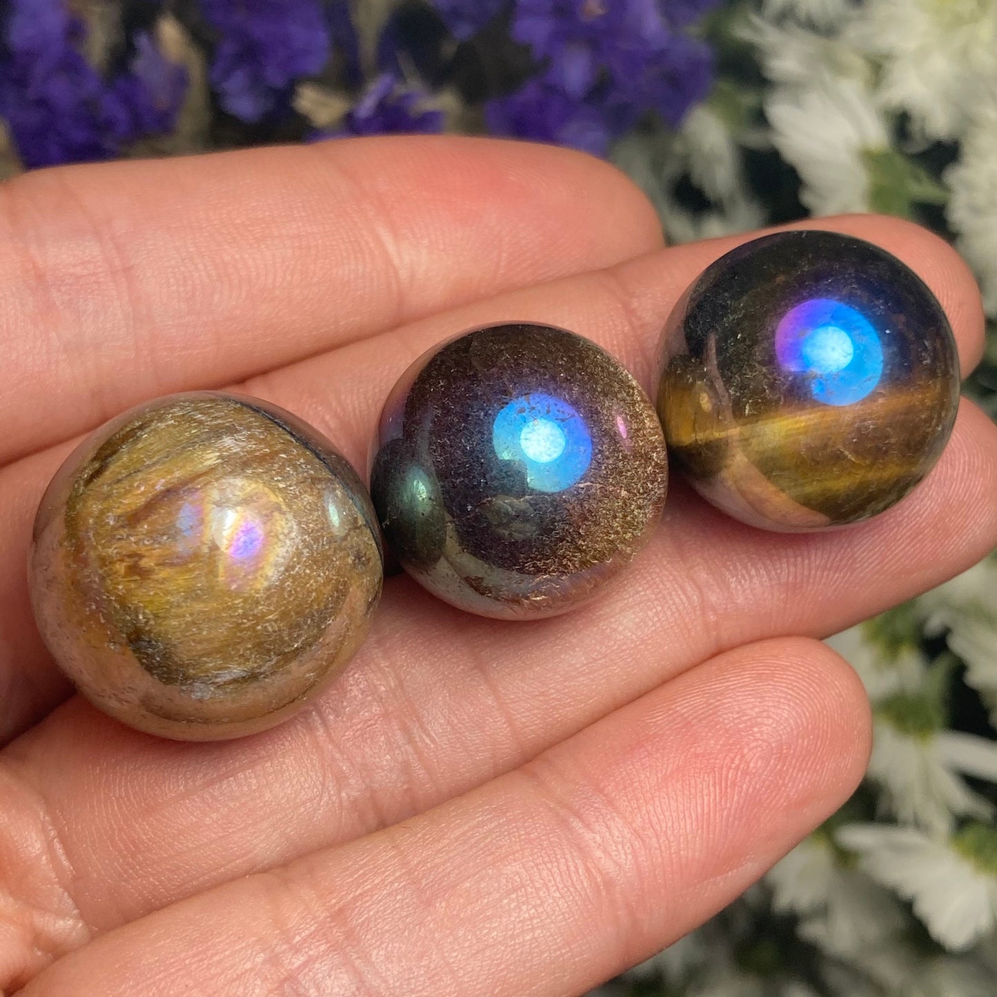 Angel Aura Tigers Eye Sphere