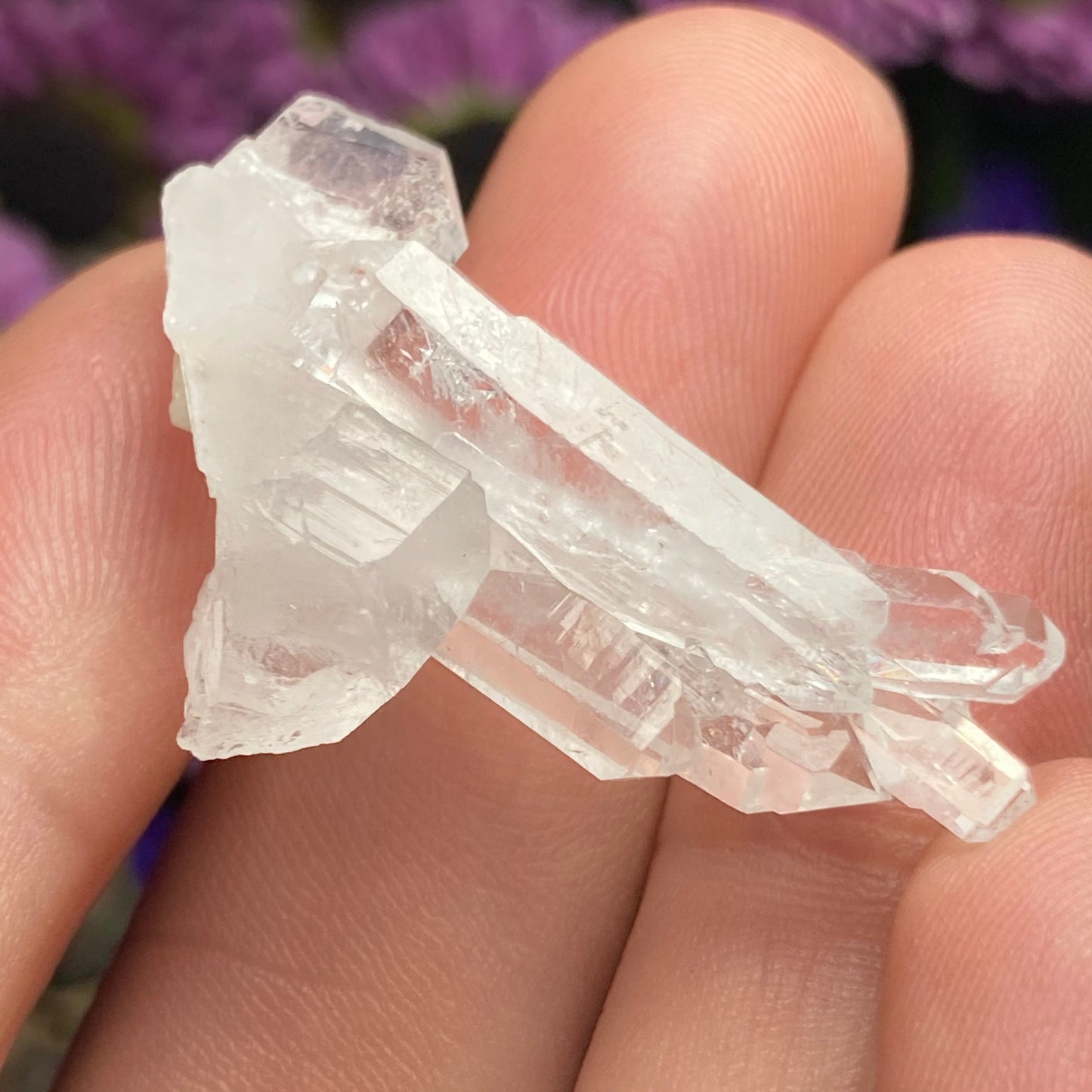 Faden Quartz Crystal
