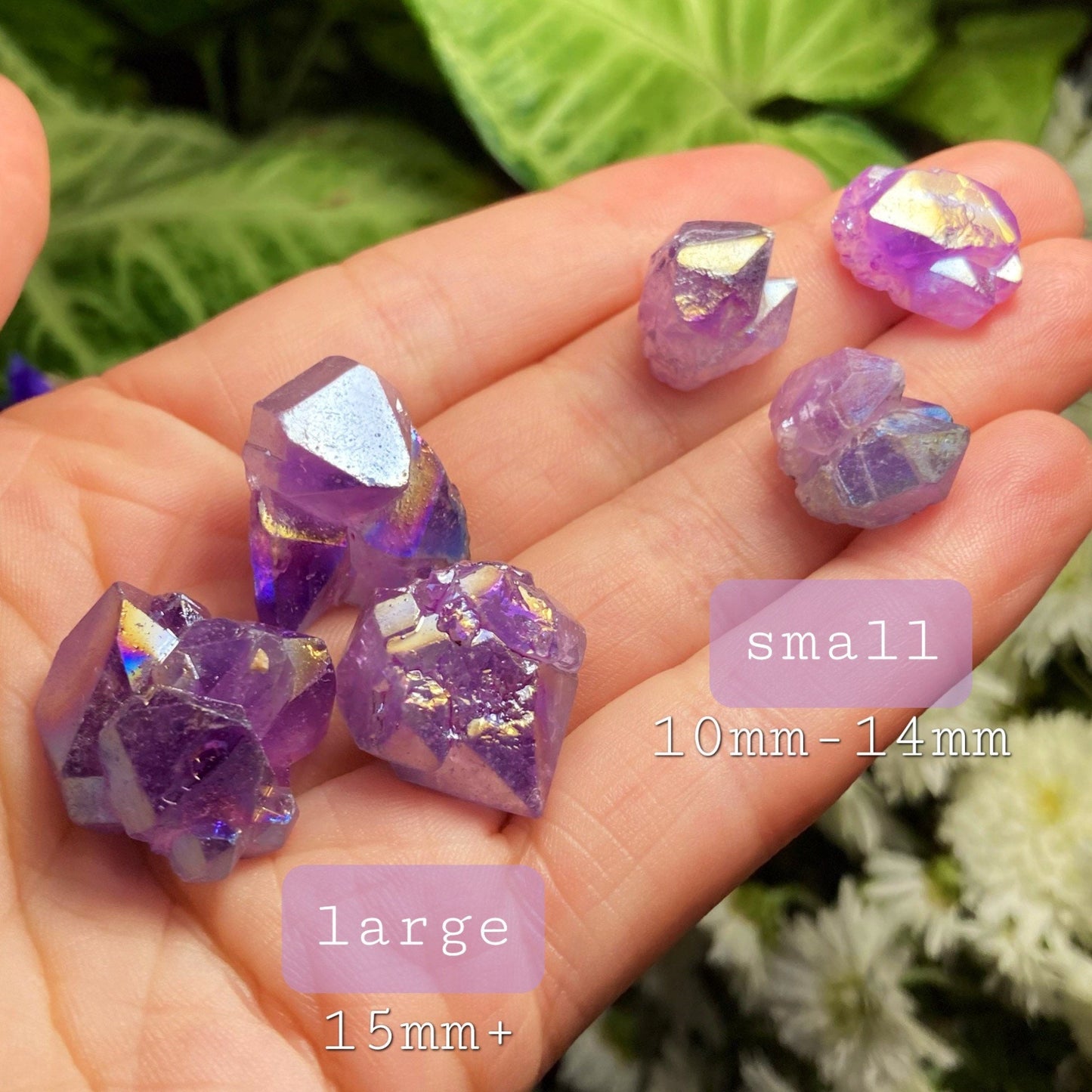 Angel Aura Amethyst