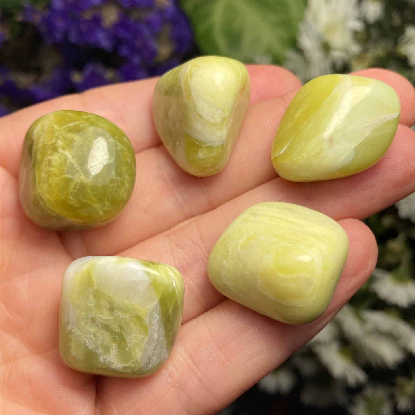 Serpentine Crystal