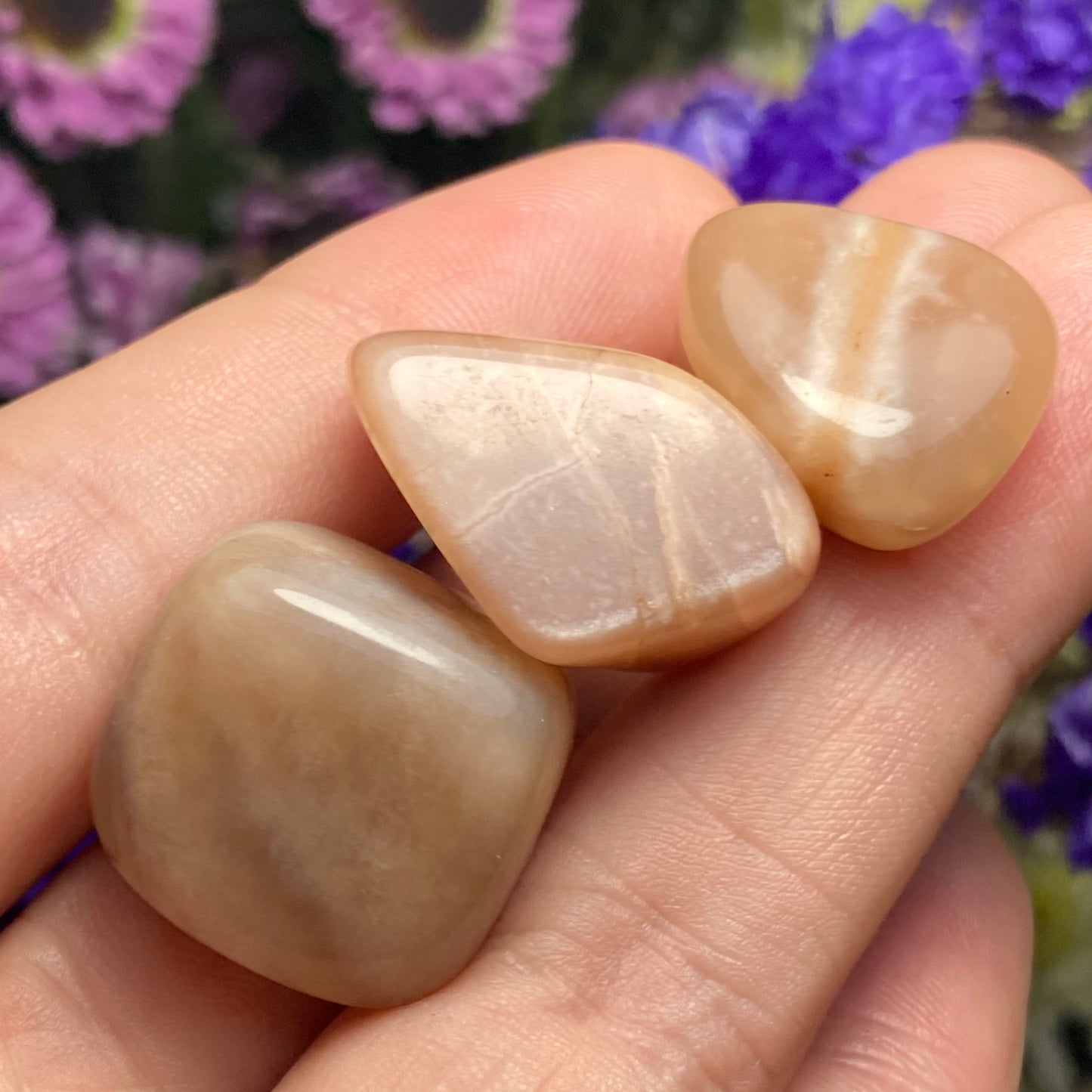 Chocolate Moonstone Crystal