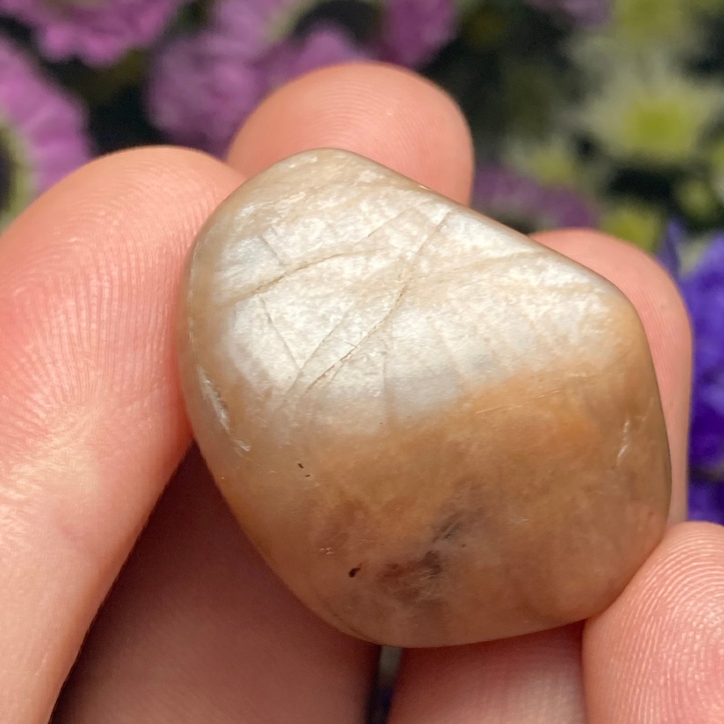 Chocolate Moonstone Crystal