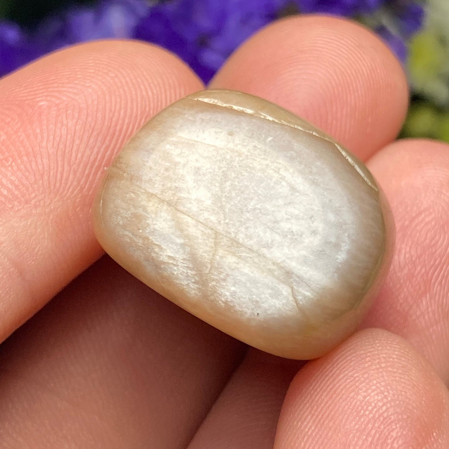 Chocolate Moonstone Crystal