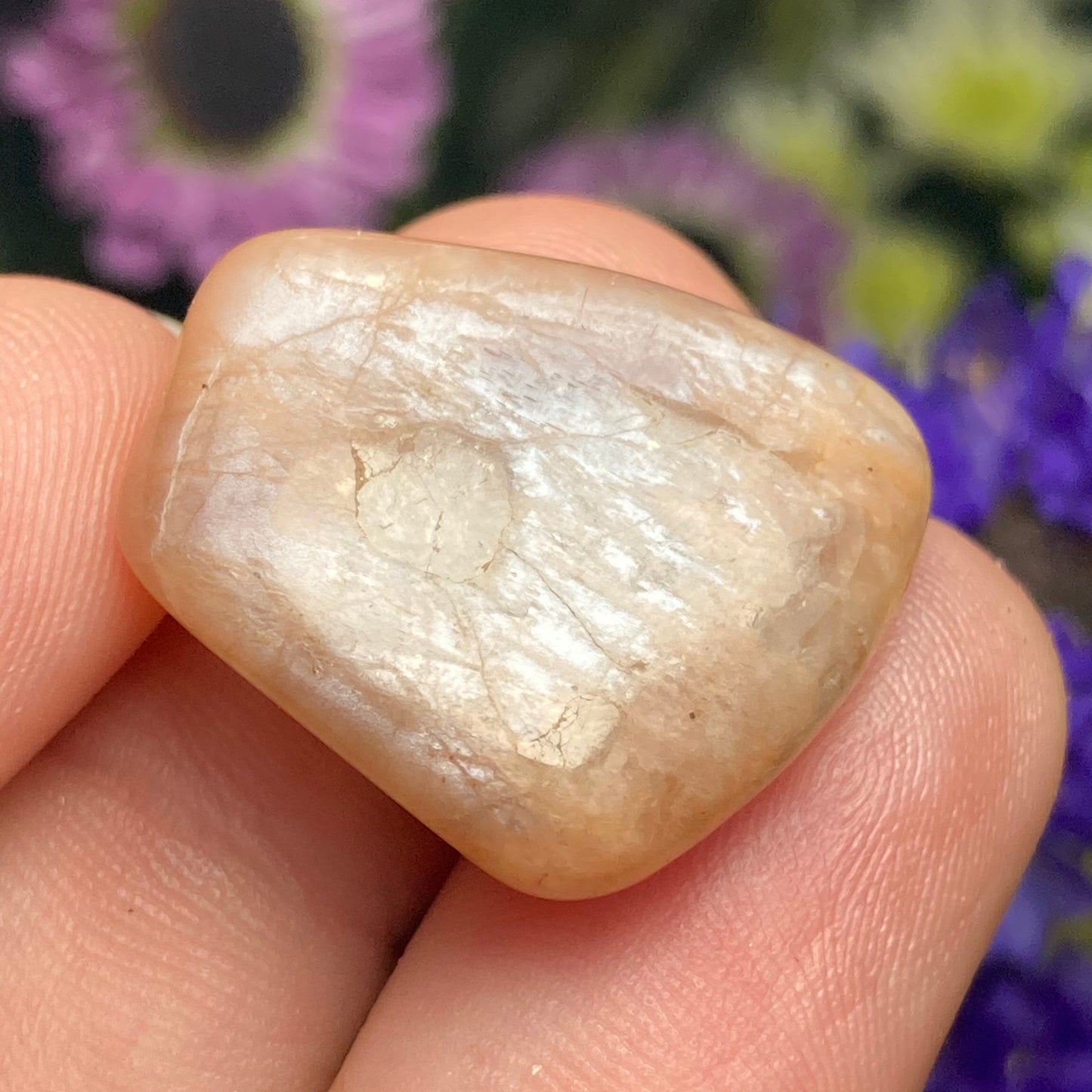 Chocolate Moonstone Crystal