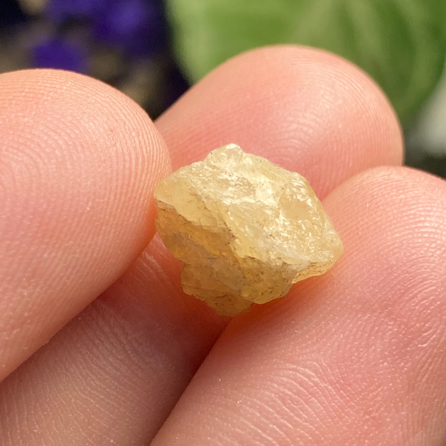 Agni Gold Danburite Crystal