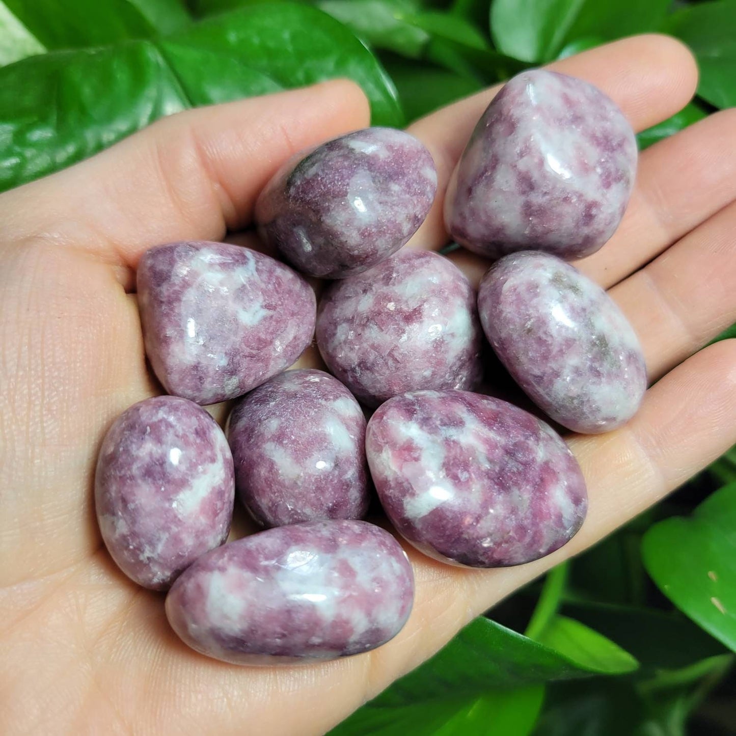 Lepidolite Crystal