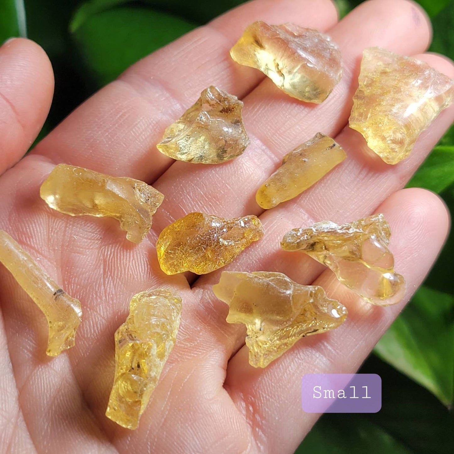 Natural Amber Specimen