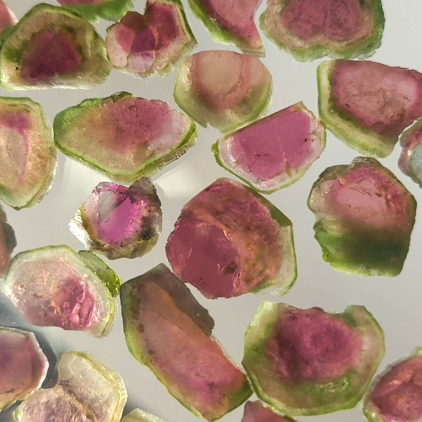 Watermelon Tourmaline Pendant