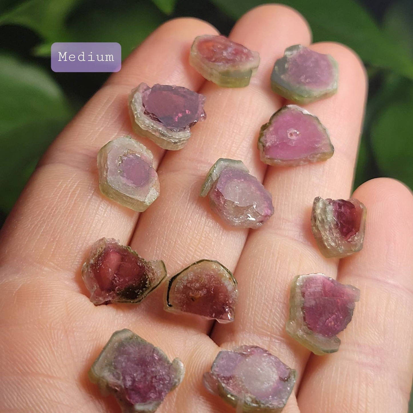 Watermelon Tourmaline Pendant
