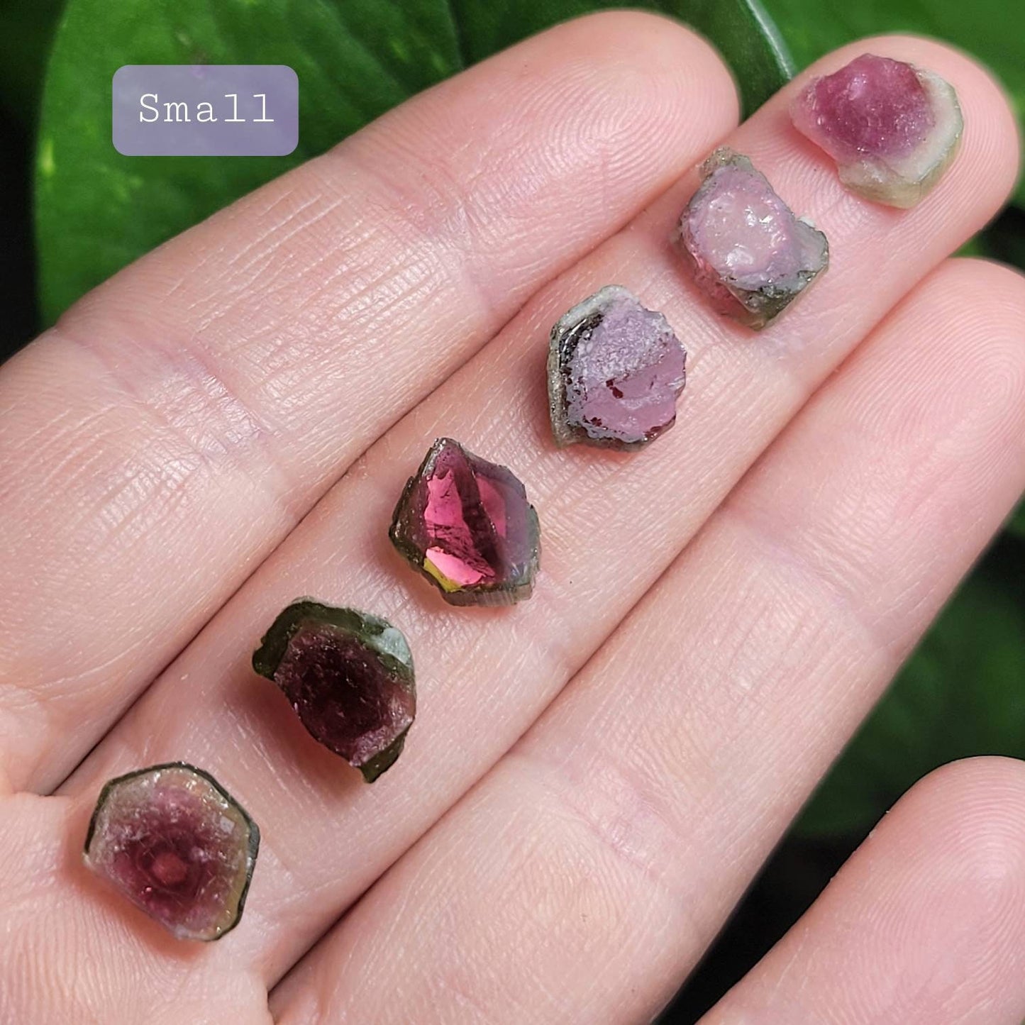 Watermelon Tourmaline Pendant